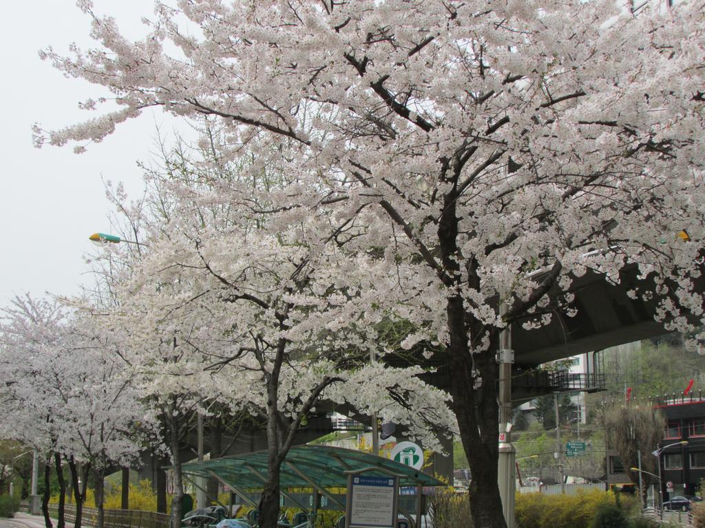 Yeon Guesthouse Seoul Eksteriør billede
